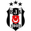 BJK VODAFONE STADI